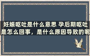 妊娠呕吐是什么意思 孕后期呕吐是怎么回事，是什么原因导致的呢